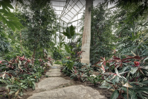 A tropical gallery inside